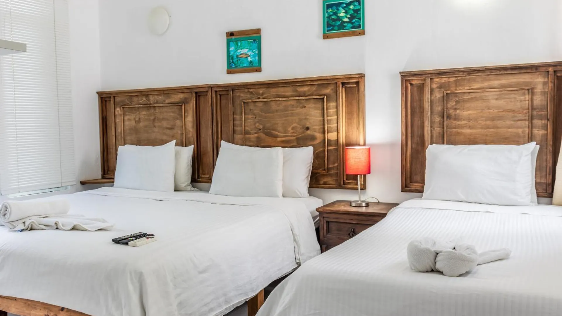 Casaejido Bed & Breakfast Playa del Carmen